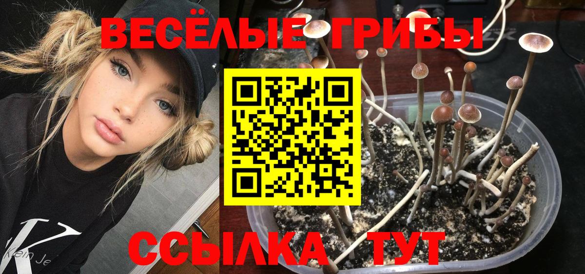Псилоцибиновые грибы ЛСД  Вход с VPN  Торжок 